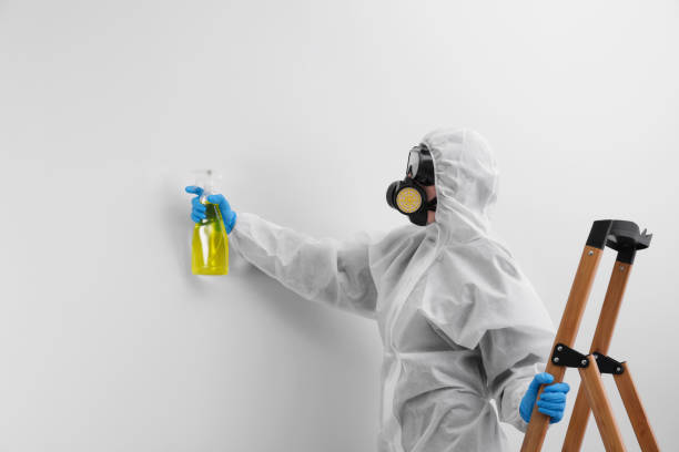 Best Residential Mold Inspection & Testing in USA